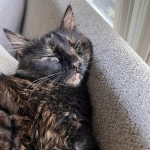 Meet your Posher, Chloe